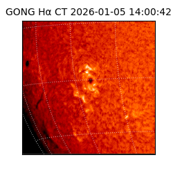 gong - 2026-01-05T14:00:42