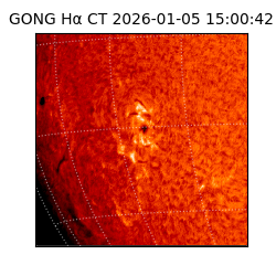 gong - 2026-01-05T15:00:42