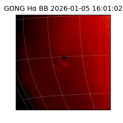 gong - 2026-01-05T16:01:02