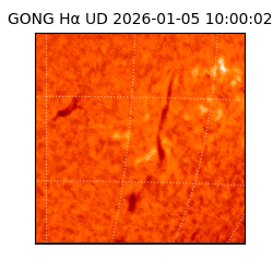 gong - 2026-01-05T10:00:02