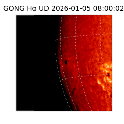 gong - 2026-01-05T08:00:02