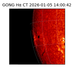 gong - 2026-01-05T14:00:42