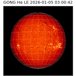 gong - 2026-01-05T03:00:42