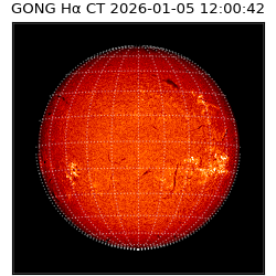 gong - 2026-01-05T12:00:42
