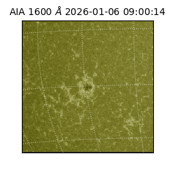 saia - 2026-01-06T09:00:14.125000