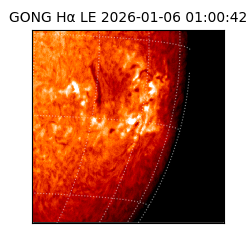 gong - 2026-01-06T01:00:42