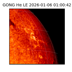 gong - 2026-01-06T01:00:42