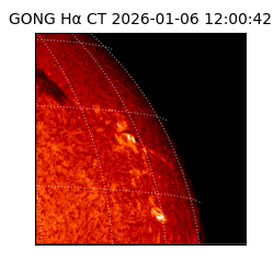 gong - 2026-01-06T12:00:42