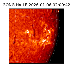 gong - 2026-01-06T02:00:42