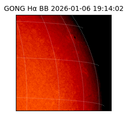 gong - 2026-01-06T19:14:02