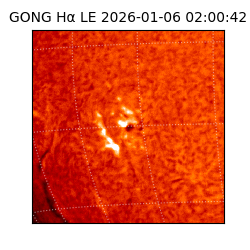 gong - 2026-01-06T02:00:42
