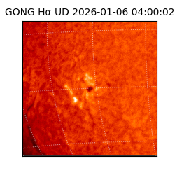 gong - 2026-01-06T04:00:02