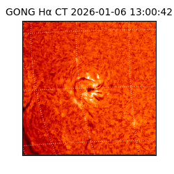 gong - 2026-01-06T13:00:42