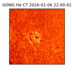 gong - 2026-01-06T22:00:42
