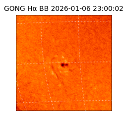 gong - 2026-01-06T23:00:02