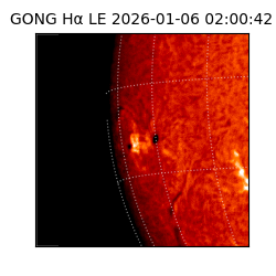 gong - 2026-01-06T02:00:42