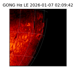 gong - 2026-01-07T02:09:42