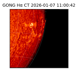 gong - 2026-01-07T11:00:42