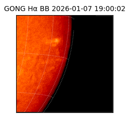 gong - 2026-01-07T19:00:02