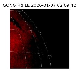 gong - 2026-01-07T02:09:42