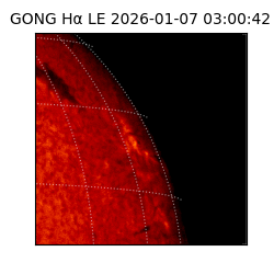 gong - 2026-01-07T03:00:42