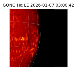 gong - 2026-01-07T03:00:42