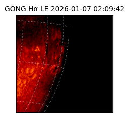 gong - 2026-01-07T02:09:42