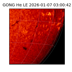 gong - 2026-01-07T03:00:42