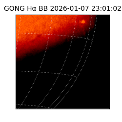 gong - 2026-01-07T23:01:02