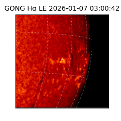 gong - 2026-01-07T03:00:42