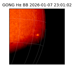 gong - 2026-01-07T23:01:02
