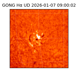 gong - 2026-01-07T09:00:02