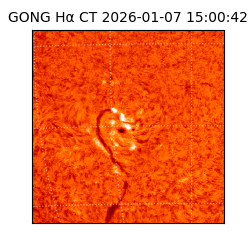 gong - 2026-01-07T15:00:42