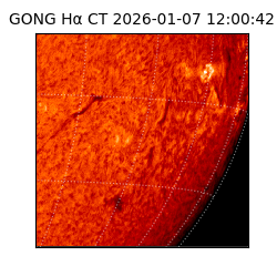 gong - 2026-01-07T12:00:42