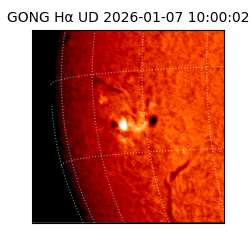 gong - 2026-01-07T10:00:02