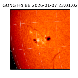 gong - 2026-01-07T23:01:02