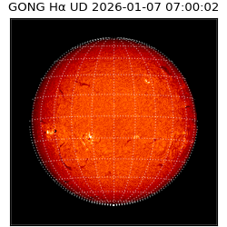 gong - 2026-01-07T07:00:02