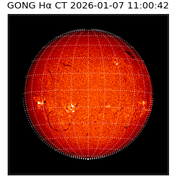 gong - 2026-01-07T11:00:42