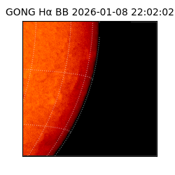 gong - 2026-01-08T22:02:02