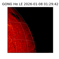 gong - 2026-01-08T01:29:42