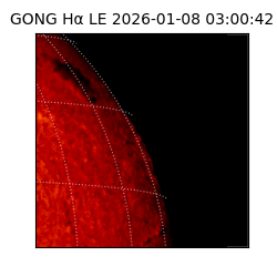 gong - 2026-01-08T03:00:42