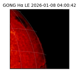 gong - 2026-01-08T04:00:42