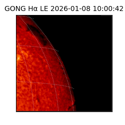 gong - 2026-01-08T10:00:42