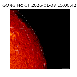 gong - 2026-01-08T15:00:42