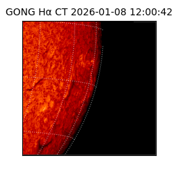 gong - 2026-01-08T12:00:42