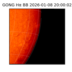 gong - 2026-01-08T20:00:02