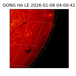 gong - 2026-01-08T04:00:42