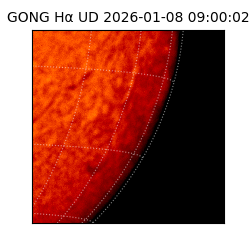 gong - 2026-01-08T09:00:02