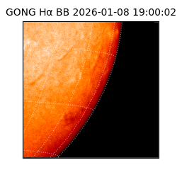 gong - 2026-01-08T19:00:02