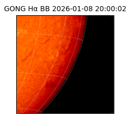 gong - 2026-01-08T20:00:02